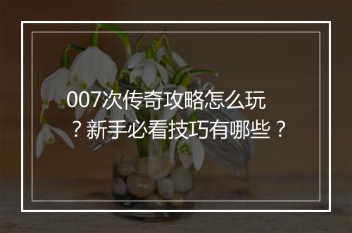 007次传奇攻略怎么玩？新手必看技巧有哪些？