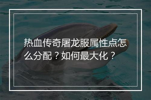 热血传奇屠龙服属性点怎么分配？如何最大化？