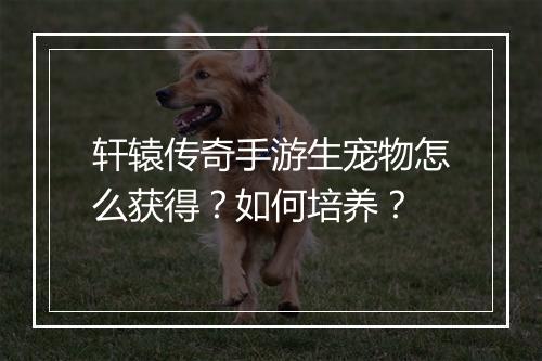 轩辕传奇手游生宠物怎么获得？如何培养？