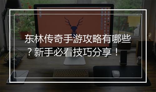 东林传奇手游攻略有哪些？新手必看技巧分享！