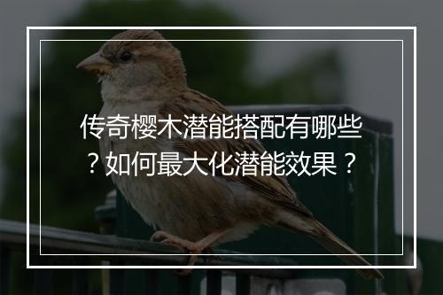 传奇樱木潜能搭配有哪些？如何最大化潜能效果？