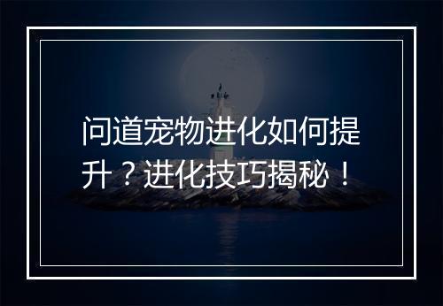 问道宠物进化如何提升？进化技巧揭秘！
