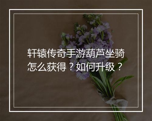 轩辕传奇手游葫芦坐骑怎么获得？如何升级？