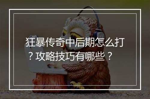 狂暴传奇中后期怎么打？攻略技巧有哪些？