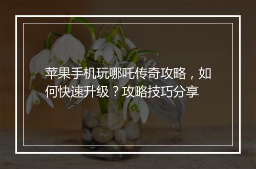 苹果手机玩哪吒传奇攻略，如何快速升级？攻略技巧分享