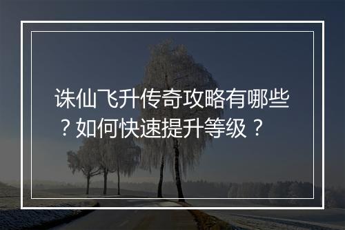 诛仙飞升传奇攻略有哪些？如何快速提升等级？
