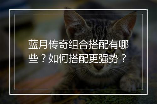 蓝月传奇组合搭配有哪些？如何搭配更强势？