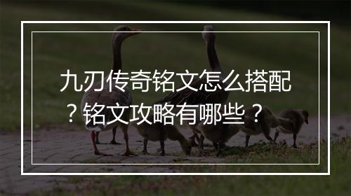 九刃传奇铭文怎么搭配？铭文攻略有哪些？