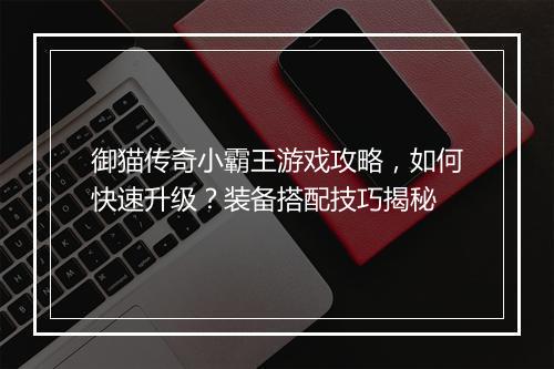 御猫传奇小霸王游戏攻略，如何快速升级？装备搭配技巧揭秘