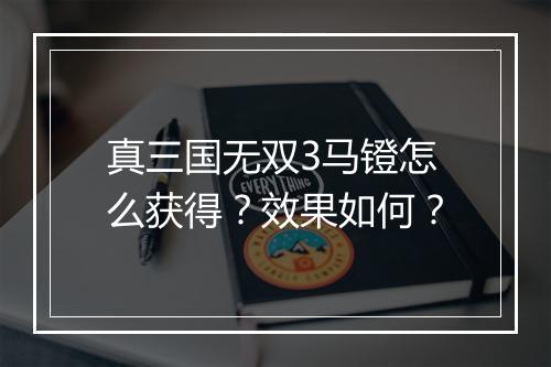 真三国无双3马镫怎么获得？效果如何？