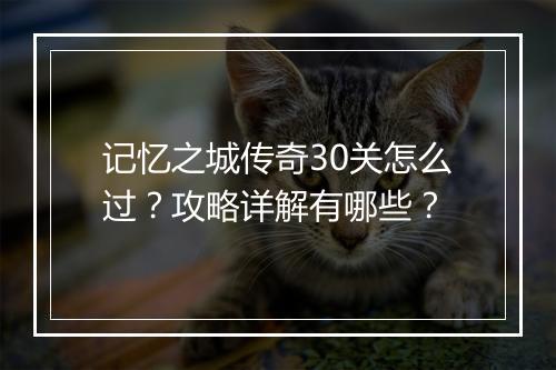 记忆之城传奇30关怎么过？攻略详解有哪些？