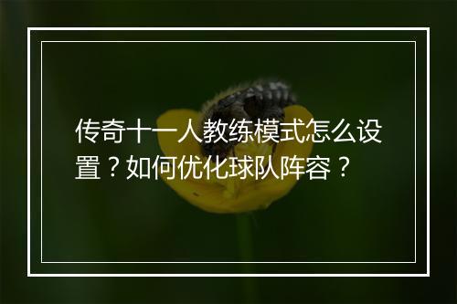 传奇十一人教练模式怎么设置？如何优化球队阵容？