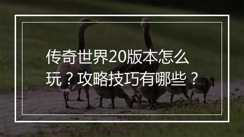 传奇世界20版本怎么玩？攻略技巧有哪些？