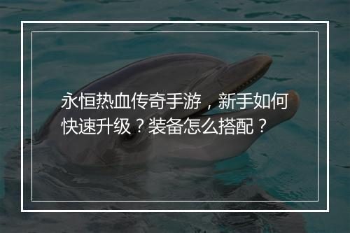 永恒热血传奇手游，新手如何快速升级？装备怎么搭配？