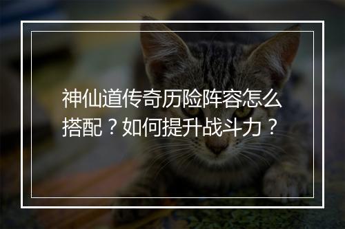 神仙道传奇历险阵容怎么搭配？如何提升战斗力？