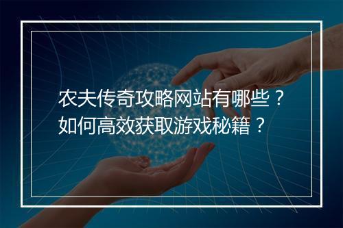 农夫传奇攻略网站有哪些？如何高效获取游戏秘籍？
