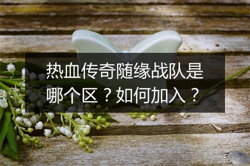 热血传奇随缘战队是哪个区？如何加入？