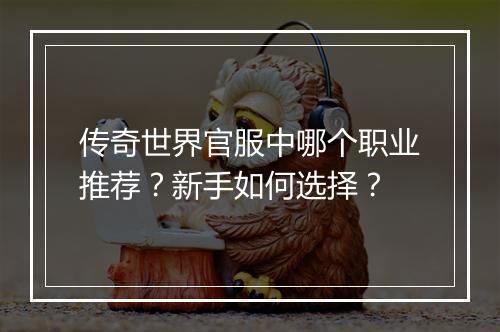 传奇世界官服中哪个职业推荐？新手如何选择？