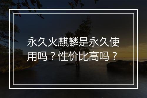 永久火麒麟是永久使用吗？性价比高吗？