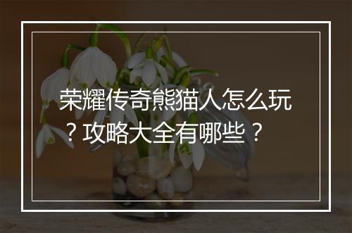 荣耀传奇熊猫人怎么玩？攻略大全有哪些？
