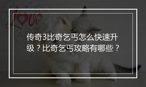 传奇3比奇乞丐怎么快速升级？比奇乞丐攻略有哪些？