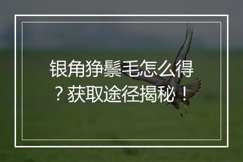 银角狰鬃毛怎么得？获取途径揭秘！