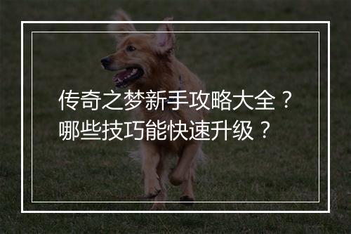 传奇之梦新手攻略大全？哪些技巧能快速升级？