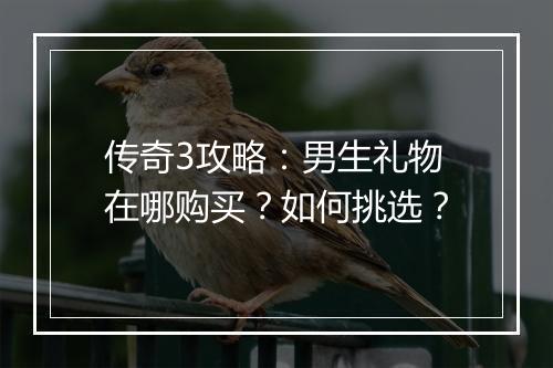传奇3攻略：男生礼物在哪购买？如何挑选？