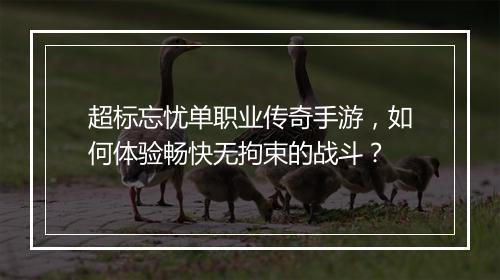 超标忘忧单职业传奇手游，如何体验畅快无拘束的战斗？