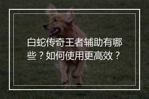 白蛇传奇王者辅助有哪些？如何使用更高效？