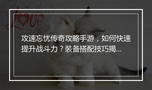 攻速忘忧传奇攻略手游，如何快速提升战斗力？装备搭配技巧揭秘？