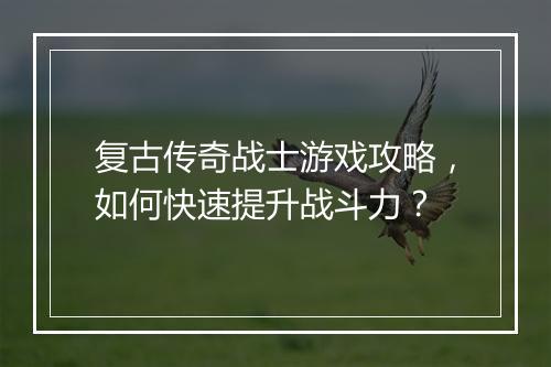 复古传奇战士游戏攻略，如何快速提升战斗力？