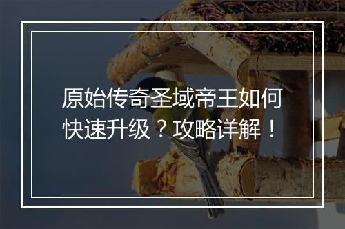 原始传奇圣域帝王如何快速升级？攻略详解！