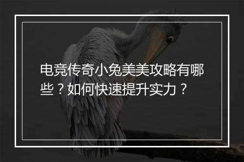 电竞传奇小兔美美攻略有哪些？如何快速提升实力？