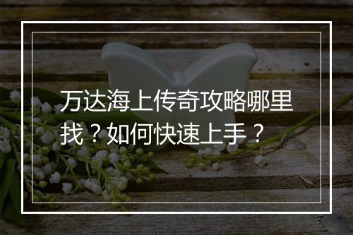 万达海上传奇攻略哪里找？如何快速上手？