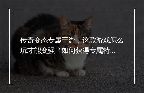传奇变态专属手游，这款游戏怎么玩才能变强？如何获得专属特权？