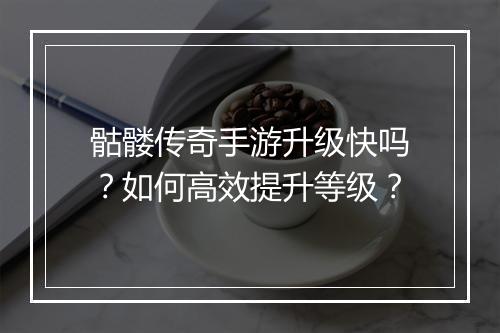 骷髅传奇手游升级快吗？如何高效提升等级？