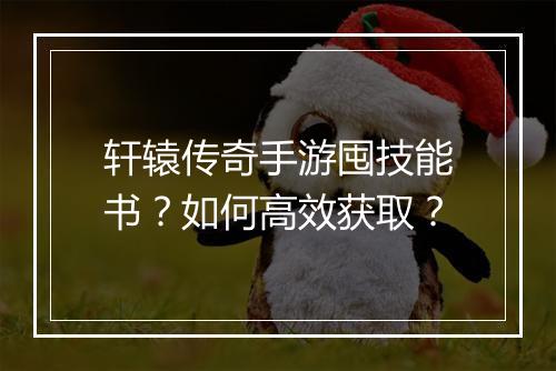 轩辕传奇手游囤技能书？如何高效获取？