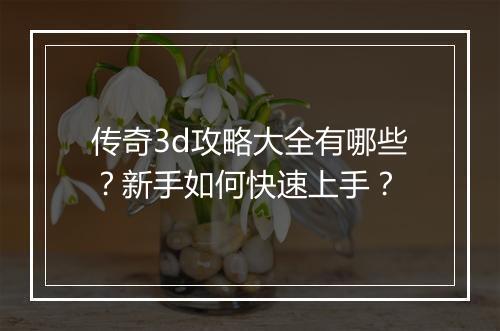 传奇3d攻略大全有哪些？新手如何快速上手？