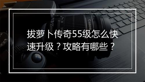 拔萝卜传奇55级怎么快速升级？攻略有哪些？