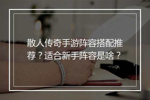 散人传奇手游阵容搭配推荐？适合新手阵容是啥？