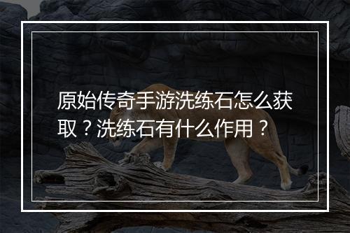 原始传奇手游洗练石怎么获取？洗练石有什么作用？