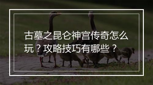 古墓之昆仑神宫传奇怎么玩？攻略技巧有哪些？