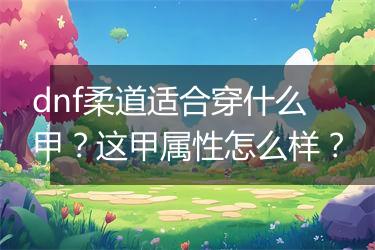 dnf柔道适合穿什么甲？这甲属性怎么样？