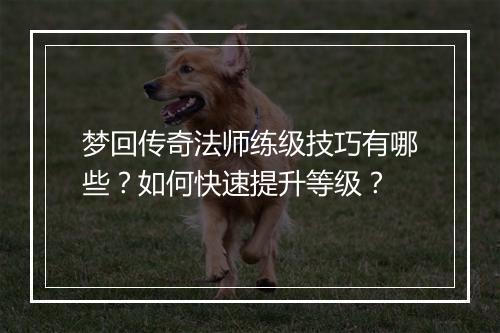 梦回传奇法师练级技巧有哪些？如何快速提升等级？