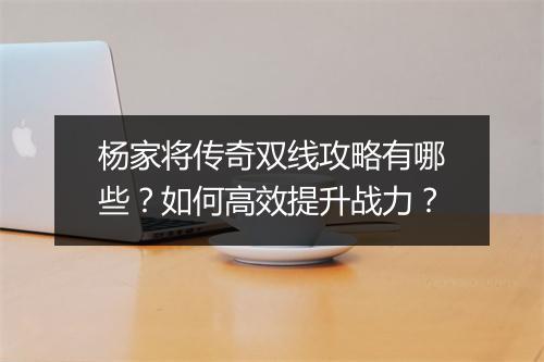 杨家将传奇双线攻略有哪些？如何高效提升战力？