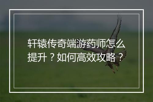 轩辕传奇端游药师怎么提升？如何高效攻略？