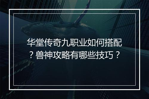 华堂传奇九职业如何搭配？兽神攻略有哪些技巧？
