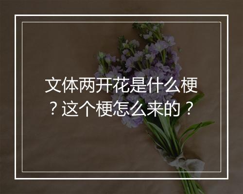 文体两开花是什么梗？这个梗怎么来的？