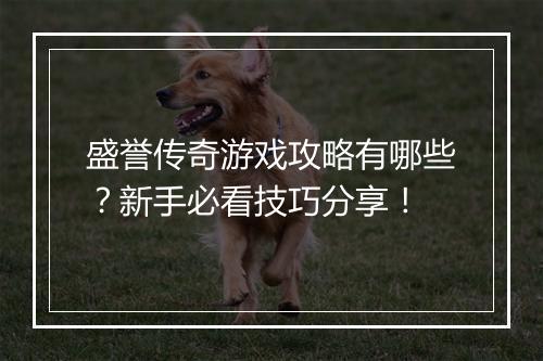 盛誉传奇游戏攻略有哪些？新手必看技巧分享！